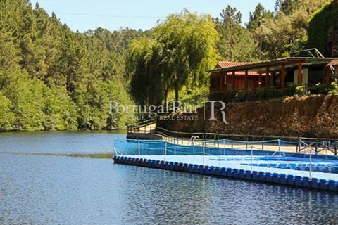 Landejendom i Proenca-a-Nova, Castelo Branco, Proenca-a-Nova - € 21.000 | Ref: SA251 - foto 4