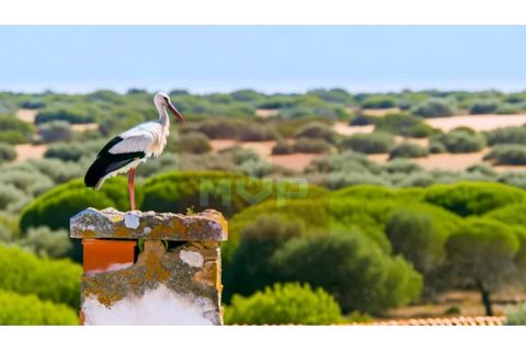 Lejlighed i Olhao, Faro, Olhao - € 285.000 | Ref: 165250029 - foto 17