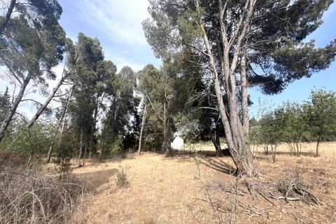 Tomt i Boutenac, Aude, Boutenac - € 190 000 | Ref: 84316 - foto 4