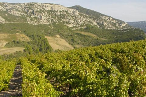 Tomt i Boutenac, Aude, Boutenac - € 190 000 | Ref: 84316 - foto 5