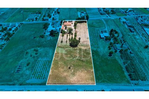 Villa i Benfica do Ribatejo, Santarem, Benfica do Ribatejo - € 460.000 | Ref: 120991397-705 - foto 4