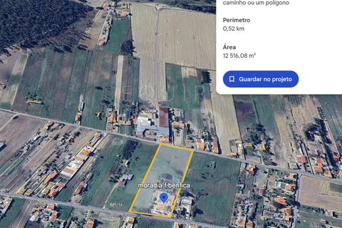 Villa i Benfica do Ribatejo, Santarem, Benfica do Ribatejo - € 460.000 | Ref: 120991397-705 - foto 37