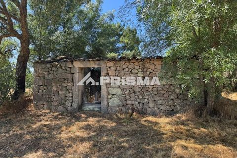 Helårsgrund i Castelo Branco, Castelo Branco, Castelo Branco - € 32.500 | Ref: PP4602 - foto 1