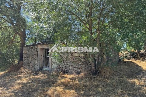 Helårsgrund i Castelo Branco, Castelo Branco, Castelo Branco - € 32.500 | Ref: PP4602 - foto 2