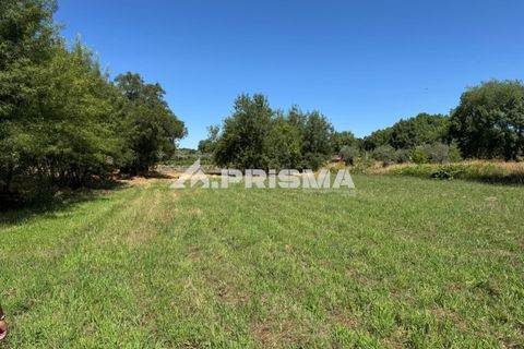 Helårsgrund i Castelo Branco, Castelo Branco, Castelo Branco - € 32.500 | Ref: PP4602 - foto 3