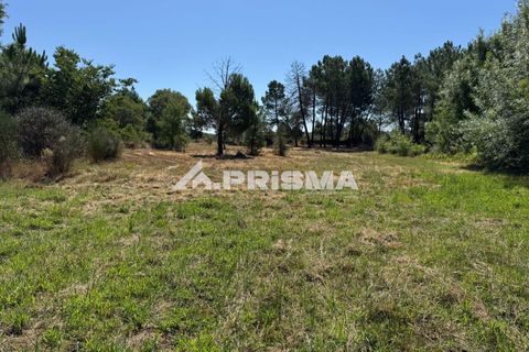 Helårsgrund i Castelo Branco, Castelo Branco, Castelo Branco - € 32.500 | Ref: PP4602 - foto 5