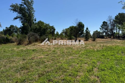Helårsgrund i Castelo Branco, Castelo Branco, Castelo Branco - € 32.500 | Ref: PP4602 - foto 6