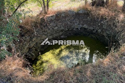 Helårsgrund i Castelo Branco, Castelo Branco, Castelo Branco - € 32.500 | Ref: PP4602 - foto 7