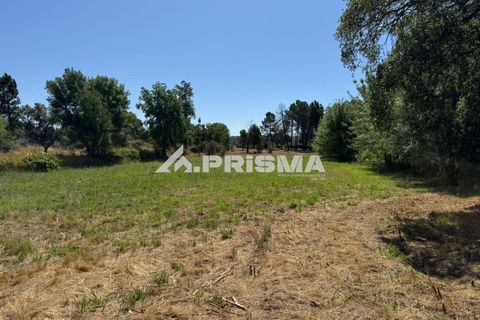 Helårsgrund i Castelo Branco, Castelo Branco, Castelo Branco - € 32.500 | Ref: PP4602 - foto 10