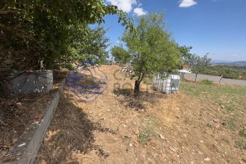 Farm i Valpacos, Vila Real, Valpacos - € 140.000 | Ref: 1106261 - foto 2