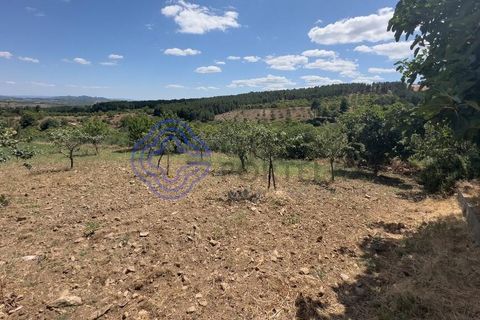 Farm i Valpacos, Vila Real, Valpacos - € 140.000 | Ref: 1106261 - foto 3