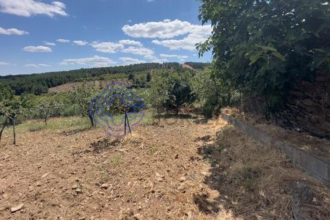 Farm i Valpacos, Vila Real, Valpacos - € 140.000 | Ref: 1106261 - foto 4