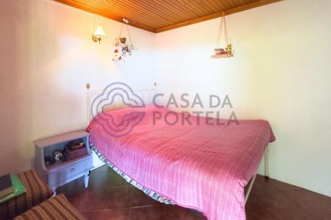 Farm i Valpacos, Vila Real, Valpacos - € 140.000 | Ref: 1106261 - foto 17