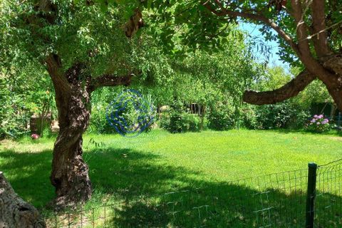 Byhus i Tomar, Santarem, Tomar - € 575.000 | Ref: 1106441 - foto 7