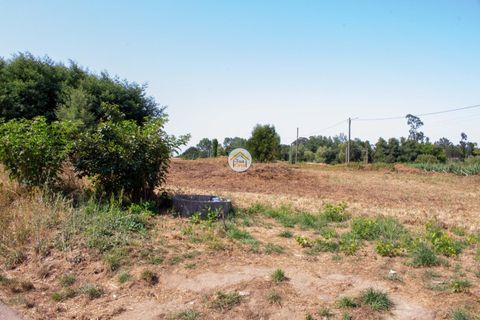 Helårsgrund i Ovar, Aveiro, Ovar - € 591.500 | Ref: 5TC3787 - foto 4