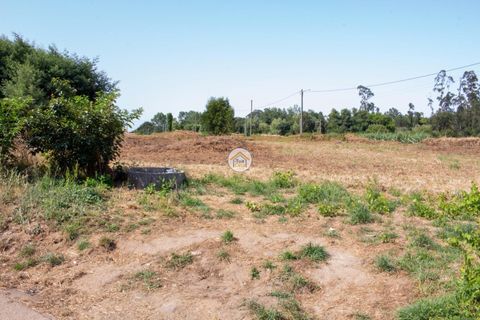 Helårsgrund i Ovar, Aveiro, Ovar - € 591.500 | Ref: 5TC3787 - foto 5