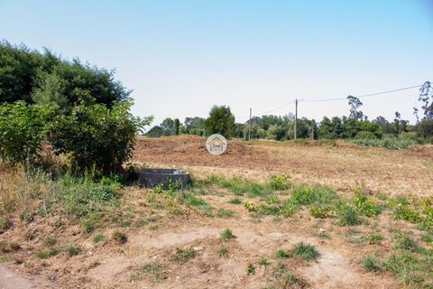 Helårsgrund i Ovar, Aveiro, Ovar - € 591.500 | Ref: 5TC3787 - foto 6