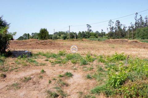 Helårsgrund i Ovar, Aveiro, Ovar - € 591.500 | Ref: 5TC3787 - foto 7