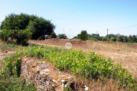 Helårsgrund i Ovar, Aveiro, Ovar - € 591.500 | Ref: 5TC3787 - foto 8