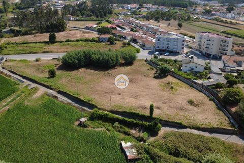 Helårsgrund i Ovar, Aveiro, Ovar - € 591.500 | Ref: 5TC3787 - foto 11