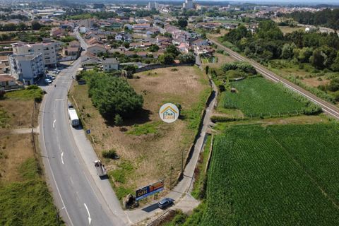 Helårsgrund i Ovar, Aveiro, Ovar - € 591.500 | Ref: 5TC3787 - foto 14