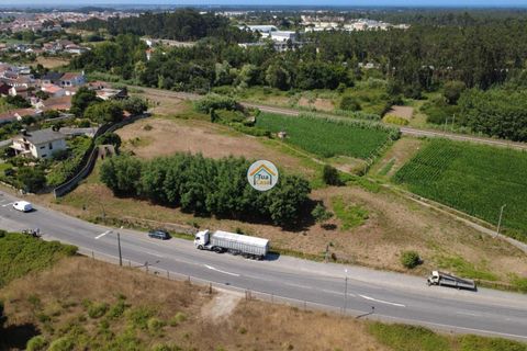 Helårsgrund i Ovar, Aveiro, Ovar - € 591.500 | Ref: 5TC3787 - foto 16