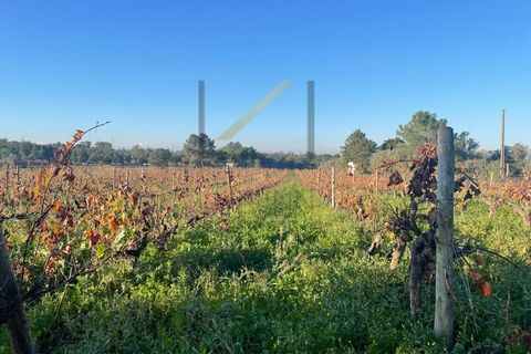 Helårsgrund i Quinta do Anjo, Setubal, Quinta do Anjo - € 200.000 | Ref: 1048 MD - foto 2