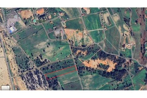 Helårsgrund i Quinta do Anjo, Setubal, Quinta do Anjo - € 200.000 | Ref: 1048 MD - foto 5