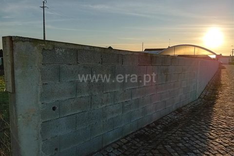 Helårsgrund i Esposende, Braga, Esposende - € 325.000 | Ref: 254240429 - foto 4