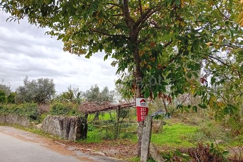 Helårsgrund i Ponte de Lima, Viana do Castelo, Ponte de Lima - € 80.000 | Ref: 254240342 - foto 1