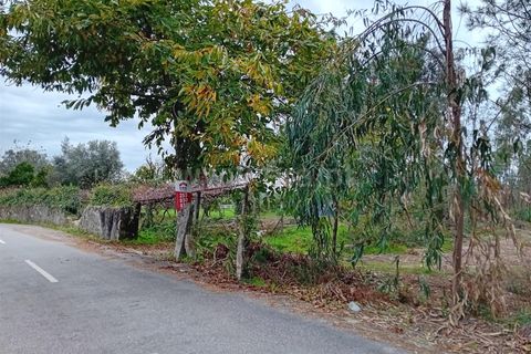 Helårsgrund i Ponte de Lima, Viana do Castelo, Ponte de Lima - € 80.000 | Ref: 254240342 - foto 4