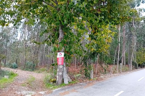 Helårsgrund i Ponte de Lima, Viana do Castelo, Ponte de Lima - € 80.000 | Ref: 254240342 - foto 6