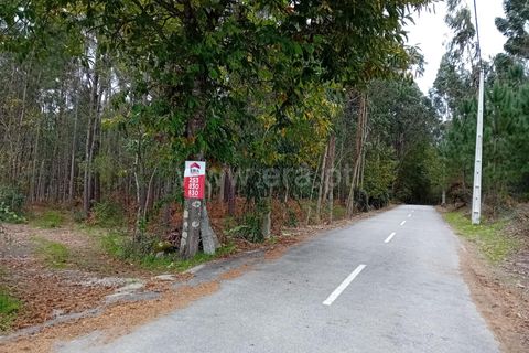Helårsgrund i Ponte de Lima, Viana do Castelo, Ponte de Lima - € 80.000 | Ref: 254240342 - foto 7