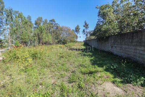 Helårsgrund i Barcelos, Braga, Barcelos - € 66.000 | Ref: 254240403 - foto 4