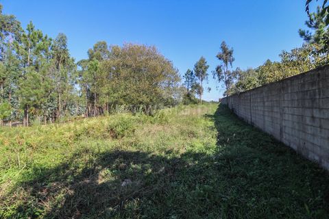 Helårsgrund i Barcelos, Braga, Barcelos - € 66.000 | Ref: 254240403 - foto 5