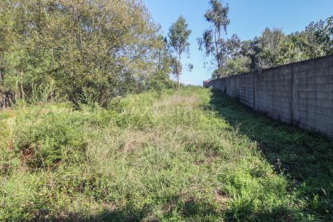Helårsgrund i Barcelos, Braga, Barcelos - € 66.000 | Ref: 254240403 - foto 6