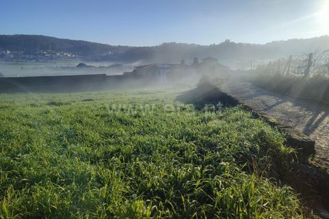 Helårsgrund i Barcelos, Braga, Barcelos - € 63.000 | Ref: 254250042 - foto 2