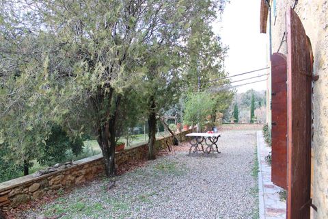 Farm hus i Pomarance, Pisa, Pomarance - € 610.000 | Ref: a9591mr125 - foto 26
