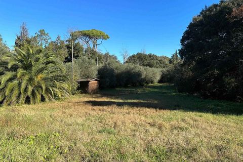 Villa i Bibbona, Livorno, Bibbona - € 450.000 | Ref: a9591sr008 - foto 5