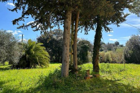 Villa i Bibbona, Livorno, Bibbona - € 450.000 | Ref: a9591sr008 - foto 11