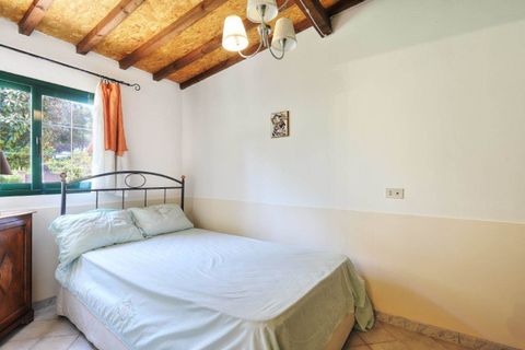 Villa a Rosignano Marittimo, Livorno, Rosignano Marittimo - € 595.000 | Ref: a9591mf071 - foto 22