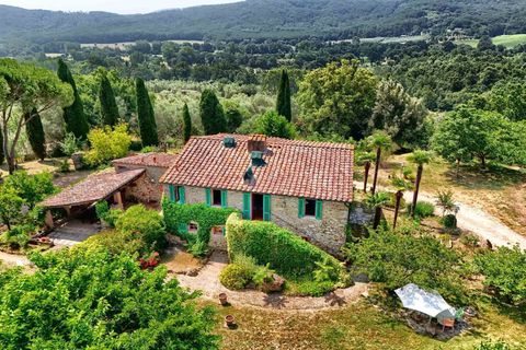 Farm hus i Sassetta, Livorno, Sassetta - € 1.100.000 | Ref: a3165ta2486349a - foto 2