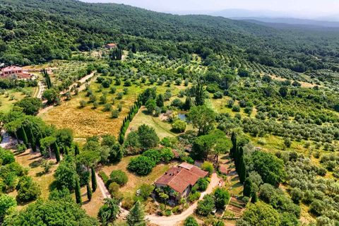Farm hus i Sassetta, Livorno, Sassetta - € 1.100.000 | Ref: a3165ta2486349a - foto 3