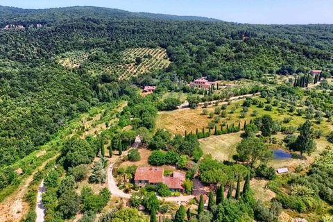 Farm hus i Sassetta, Livorno, Sassetta - € 1.100.000 | Ref: a3165ta2486349a - foto 5