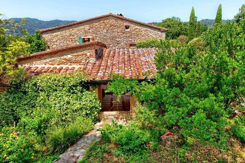 Farm hus i Sassetta, Livorno, Sassetta - € 1.100.000 | Ref: a3165ta2486349a - foto 11