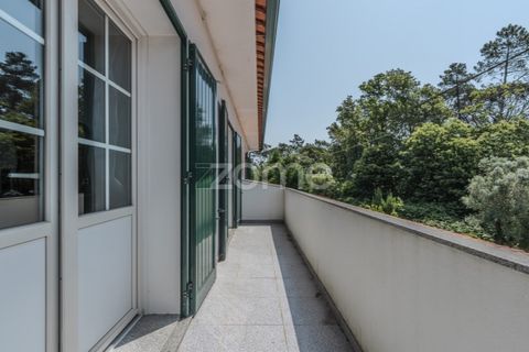 Villa i Ponte de Lima, Viana do Castelo, Ponte de Lima - € 350.000 | Ref: ZMPT578489 - foto 19
