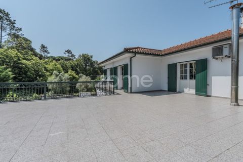 Villa i Ponte de Lima, Viana do Castelo, Ponte de Lima - € 350.000 | Ref: ZMPT578489 - foto 28