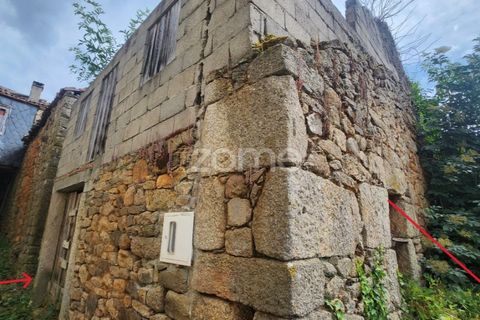 Terra a Armamar, Viseu, Armamar - € 14.500 | Ref: ZMPT578442 - foto 8