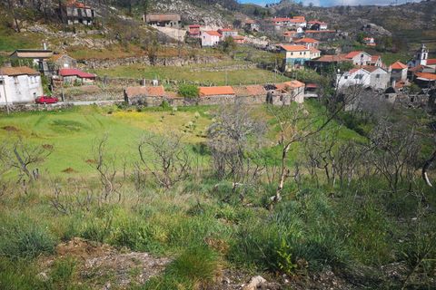 Helårsgrund i Caparrosa e Silvares, Viseu, Caparrosa e Silvares - € 25.000 | Ref: C0203-01402 - foto 1
