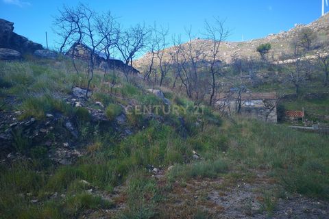 Helårsgrund i Caparrosa e Silvares, Viseu, Caparrosa e Silvares - € 25.000 | Ref: C0203-01402 - foto 2